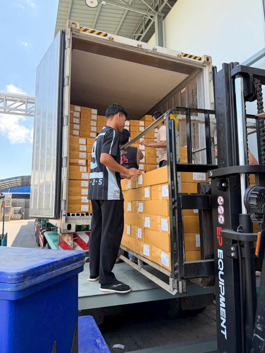 Bốc hàng từ container vào kho