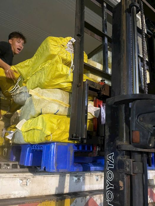 Hàng xếp lớp trong kho lạnh