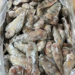Cá Mèo Lớn – Kho lạnh sỉ Dĩ An