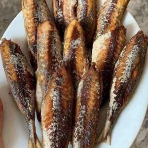Cá Nục Lột Da – Kho lạnh sỉ Dĩ An