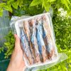 Cá Nục Lột Da – hình 3 – Kho lạnh sỉ Dĩ An