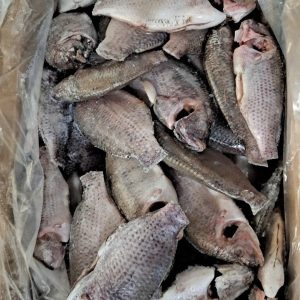 Cá Rô Phi Làm Sạch – Kho lạnh sỉ Dĩ An
