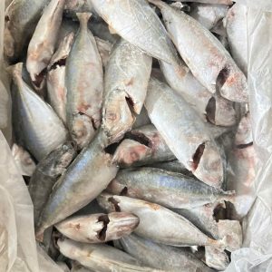 Cá Tráo Nhỏ Làm Sạch Kiên Giang – Kho lạnh sỉ Dĩ An