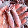 Mực Hấp Thuyền Nghệ An – Kho lạnh sỉ Dĩ An