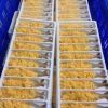 Tôm Lăn Bột 10C – hình 4 – Kho lạnh sỉ Dĩ An