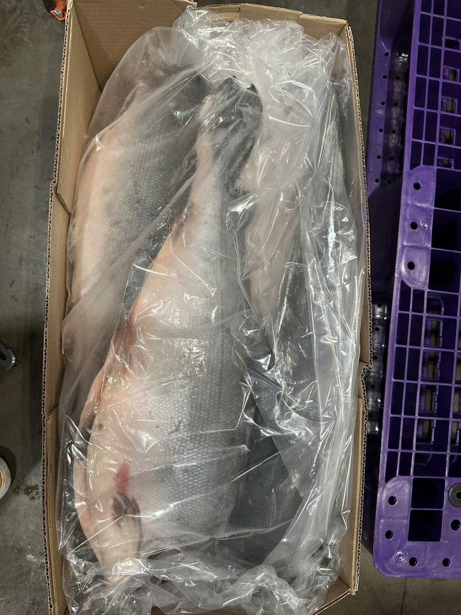 Cá Hồi Chile Nguyên Con 4-5KG