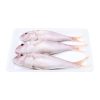 Cá Hường - Đổng Nhỏ 10-12 Con – Kho Lạnh Dĩ An