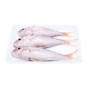 Cá Hường - Đổng Nhỏ 10-12 Con – Kho Lạnh Dĩ An
