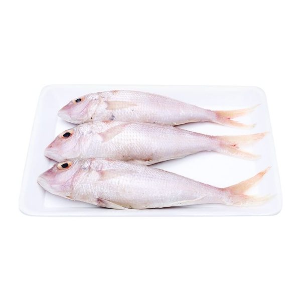Cá Hường - Đổng Nhỏ 10-12 Con – Kho Lạnh Dĩ An