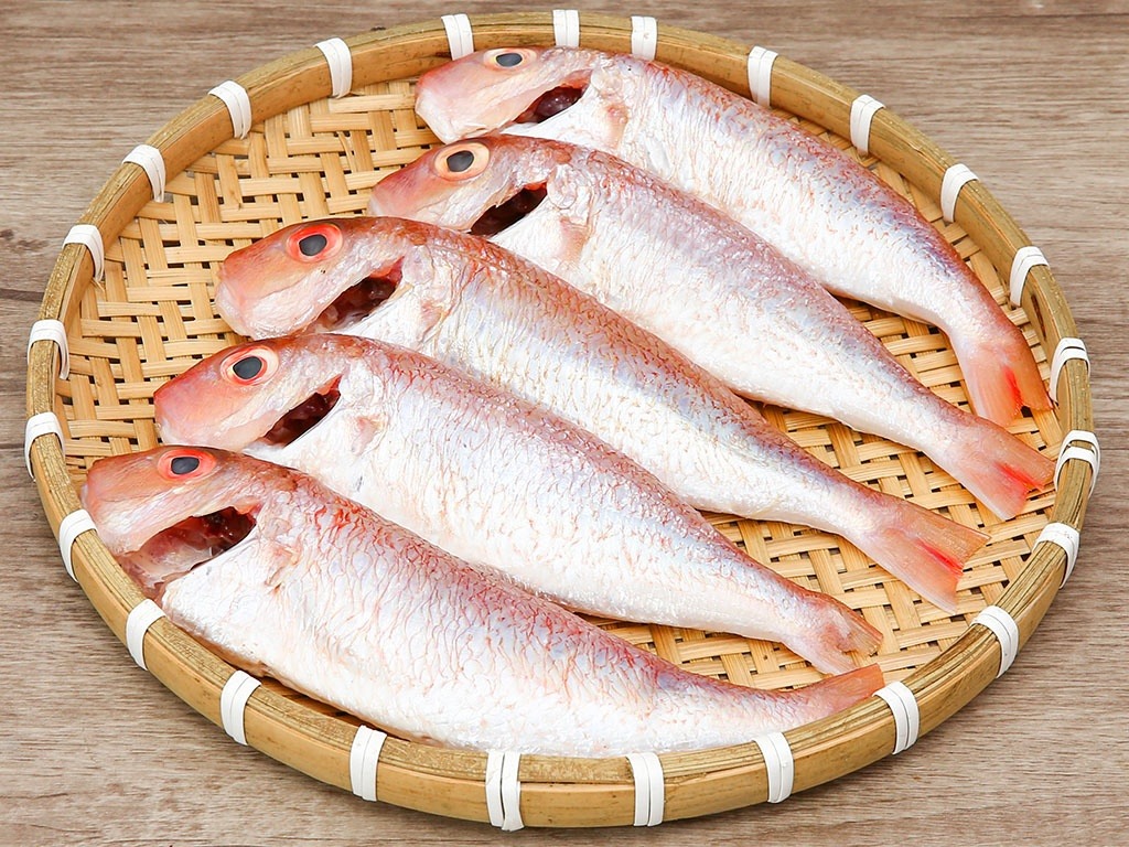 Cá Hường Trắng Nhỏ