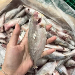 CÁ NGÂN LỚN LÀM SẠCH 6-7CON/KG (10KG)