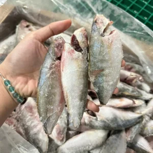 CÁ NGÂN NHỎ LÀM SẠCH 8-10CON ĐL (10KG)