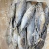 Cá Ngừ Size 1000/1200 – hình 2 – Kho Lạnh Dĩ An