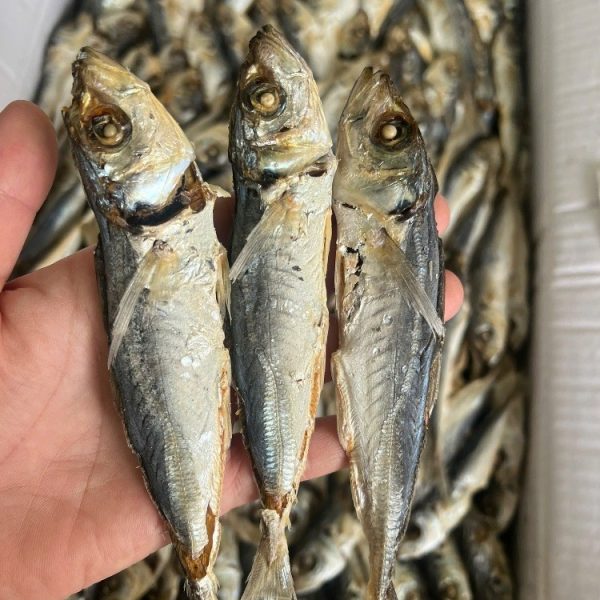 Cá Nục Gai Cắt Đầu Vũng Tàu – Kho Lạnh Dĩ An