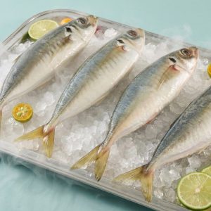 Cá Nục Gai Nguyên Con – Kho Lạnh Dĩ An