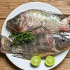 Cá Rô Phi Làm Sạch – hình 2 – Kho Lạnh Dĩ An