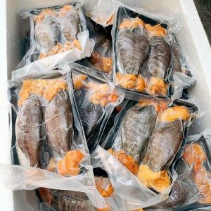 Cá Sặc Trứng – hình 2 – Kho Lạnh Dĩ An