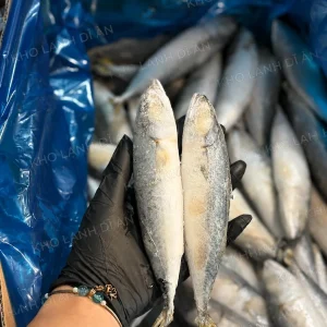 CÁ SAPA NHỎ TQ 60-80 CON - THÙNG 10 KG