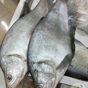 Cá Thác Lác Rút Xương Size 4 Con – Kho Lạnh Dĩ An