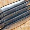Cá Thu Đao – hình 4 – Kho Lạnh Dĩ An