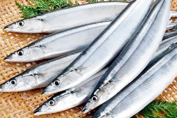 Cá Thu Đao S1 – hình 2 – Kho Lạnh Dĩ An