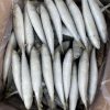 Cá Tráo Lớn Làm Sạch Vũng Tàu – hình 5 – Kho Lạnh Dĩ An