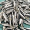 Cá Tráo Nhỏ Làm Sạch Kiên Giang – hình 3 – Kho Lạnh Dĩ An