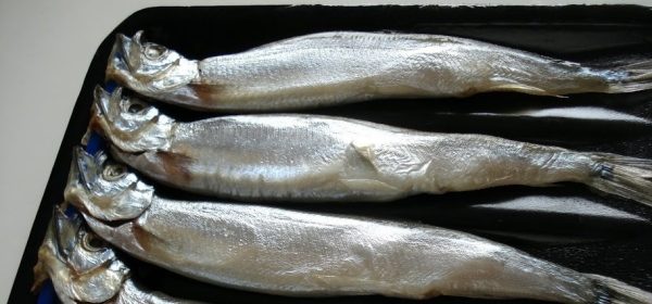 Cá Trứng Siêu Trứng Net 8 – Kho Lạnh Dĩ An