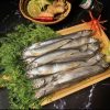Cá Trứng Siêu Trứng Net 8 – hình 3 – Kho Lạnh Dĩ An