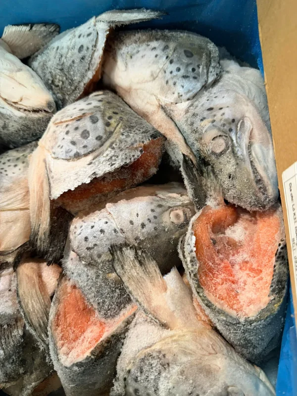 ĐẦU CÁ HỒI ANH - YOUNGS ( THÙNG 10 KG ) 350-500GR – Kho Lạnh Dĩ An