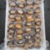 Đầu Ốc Bươu – hình 4 – Kho Lạnh Dĩ An