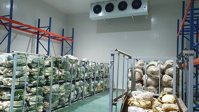kho lạnh chứa hàng đông lạnh