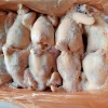 Gà Dai 10 Con Bóng Đèn - Size 14kg – Kho Lạnh Dĩ An