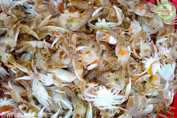 Ghẹ Sữa – Kho Lạnh Dĩ An