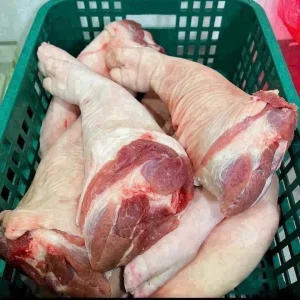 GIÒ HEO TRƯỚC NGUYÊN CÁI