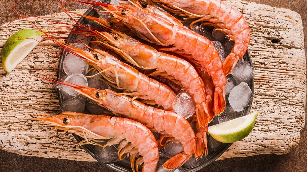 tôm sú tươi trên đá