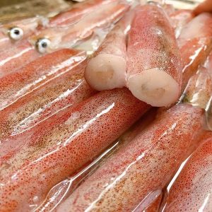 Mực Ống Đl 300/400 Trắng – Kho Lạnh Dĩ An