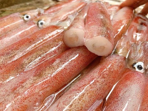 Mực Ống Đl 300/400 Trắng – Kho Lạnh Dĩ An
