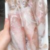 Mực Ống Size nhỏ – hình 3 – Kho Lạnh Dĩ An