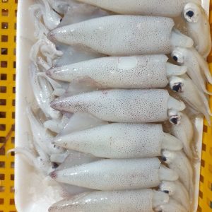 Mực Trứng Thiên Nhiên Net 7 Size 16/22 – Kho Lạnh Dĩ An