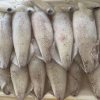 Mực Trứng YN15 – Kho Lạnh Dĩ An