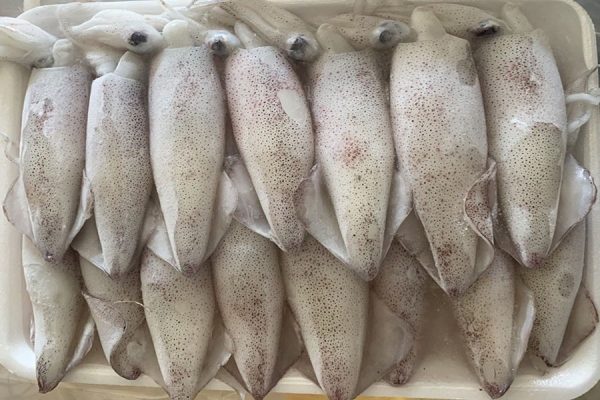 Mực Trứng YN15 – Kho Lạnh Dĩ An