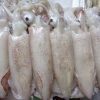 Mực Trứng YN15 – hình 3 – Kho Lạnh Dĩ An