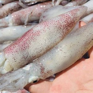 Mực Trứng YN9 – hình 2 – Kho Lạnh Dĩ An