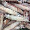 Mực Trứng YN9 – hình 4 – Kho Lạnh Dĩ An
