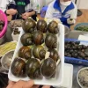 Ốc Bươu Nhồi Thịt Tây Bắc – hình 3 – Kho Lạnh Dĩ An