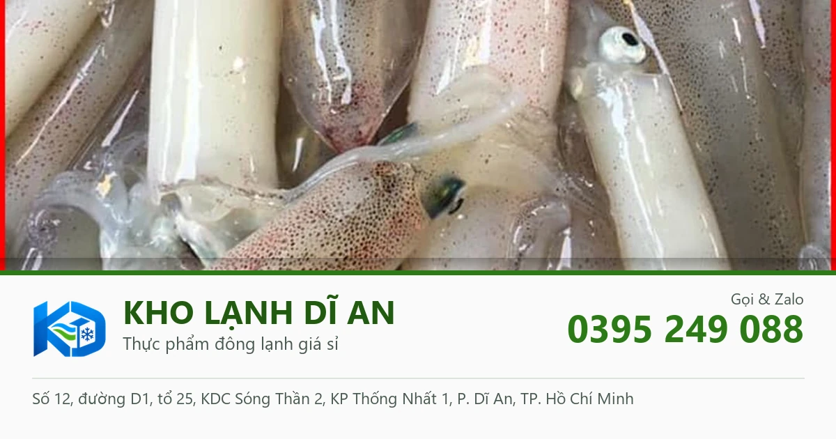 mực ống tươi sống - Kho Lạnh Dĩ An