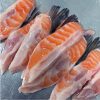 Vây Cá Hồi Túi 1KG – hình 5 – Kho Lạnh Dĩ An