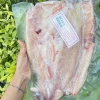 VV CÁ DỨA 1 NẮNG NGUYÊN CON – Kho Lạnh Dĩ An
