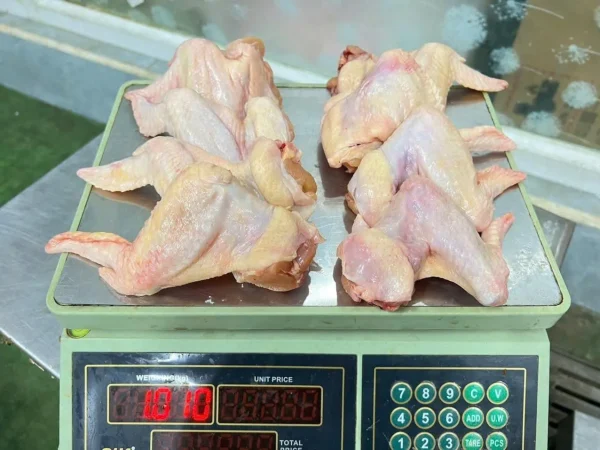 VV CÁNH GÀ XÁ - THÙNG 10KG – Kho Lạnh Dĩ An